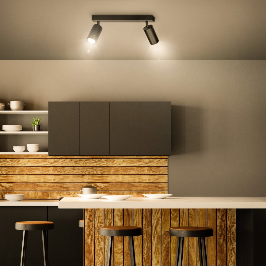 Brilagi - Reflektorska lampa SELE 2xGU10/30W/230V crno