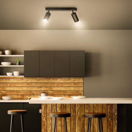 Brilagi - Reflektorska lampa SELE 2xGU10/30W/230V crno/zlatna