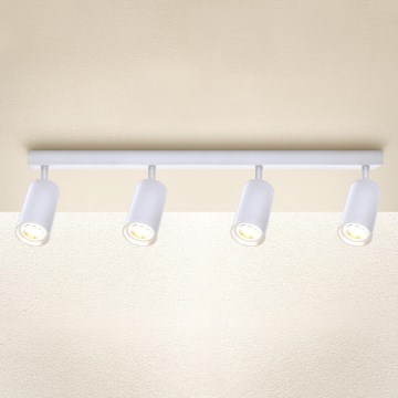 Brilagi - Reflektorska lampa SELE 4xGU10/30W/230V bela