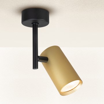 Brilagi - Reflektorska lampa SELE VERTICAL 1xGU10/30W/230V crno/zlatna