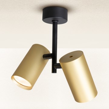 Brilagi - Reflektorska lampa SELE VERTICAL 2xGU10/30W/230V crno/zlatna