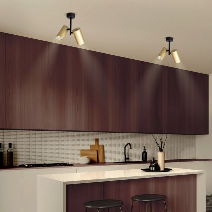 Brilagi - Reflektorska lampa SELE VERTICAL 2xGU10/30W/230V crno/zlatna