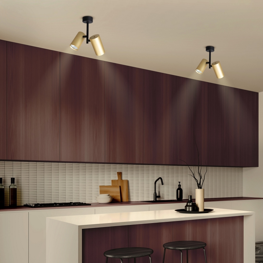 Brilagi - Reflektorska lampa SELE VERTICAL 2xGU10/30W/230V crno/zlatna