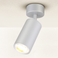 Brilagi - Reflektorska lampa za kupatilo SELE 1xGU10/30W/230V IP44 srebrno