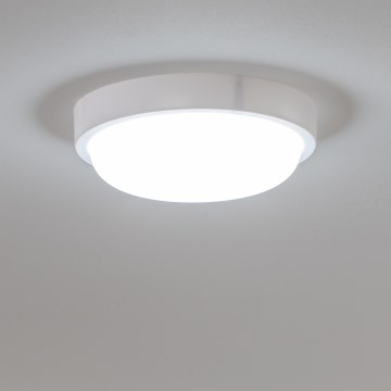 Brilagi - spoljašnja LED plafonska svetiljka LED/13W/230V prečnika 17 cm IP54