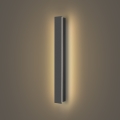 Brilagi - Spoljašnje zidno LED svetlo LINEAR/12W/230V 3000K IP65 50 cm antracit CRI 90
