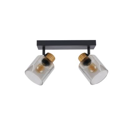 Brilagi - Spot svetiljka HYGGE 2xE14/15W/230V crna/dimljena