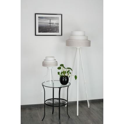 Brilagi - Stona lampa ALASKA LUNETA 1xE27/15W/230V sivo/kremasta