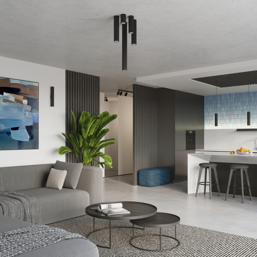 Brilagi - Stropno svetlo CRESTO 1xGU10/10W/230V 10 cm crno