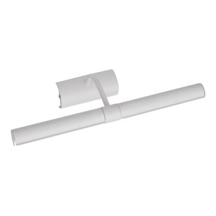 Brilagi - Svetiljka za slike DANAE 2xE14/40W/230V bela