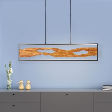 Brilliant - LED luster na sajli CHAUMONT LED/20W/230V bor - FSC sertifikovano