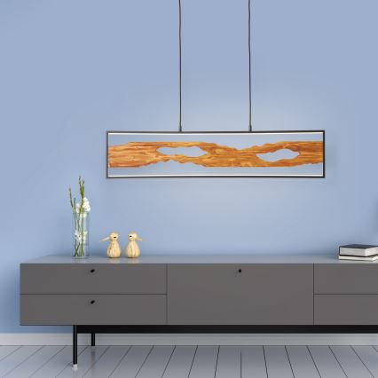 Brilliant - LED luster na sajli CHAUMONT LED/20W/230V bor - FSC sertifikovano