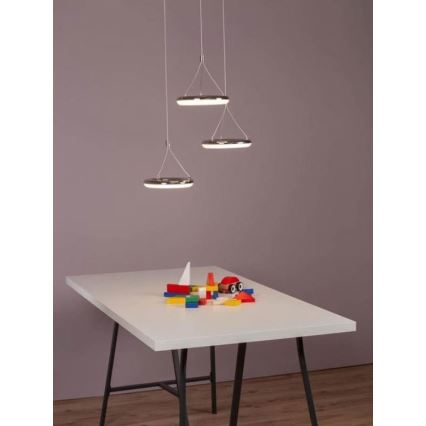 Brilliant - LED luster na sajli DONUT 3xLED/8,7W/230V