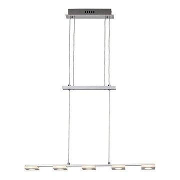 Brilliant - LED luster na sajli TRANSIT 5xLED/4W/230V