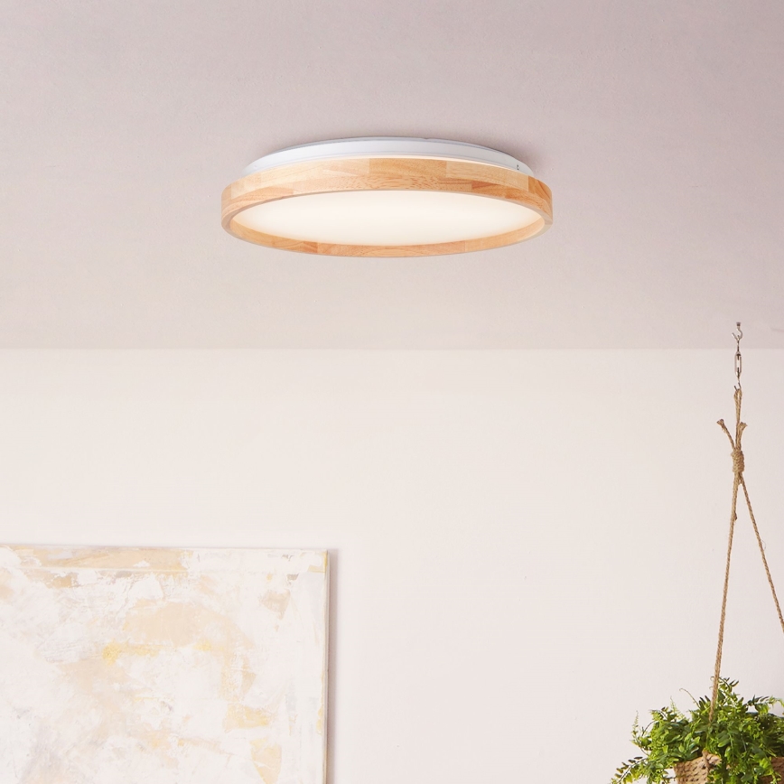 Brilliant - LED Plafonjera ALSON LED/26W/230V 3000/4500K pr. 39,5 cm fikus elastika