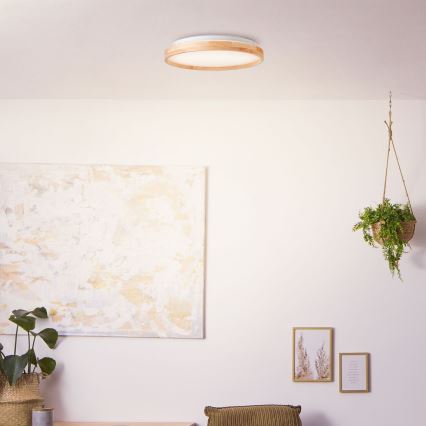 Brilliant - LED Plafonjera ALSON LED/26W/230V 3000/4500K pr. 39,5 cm fikus elastika