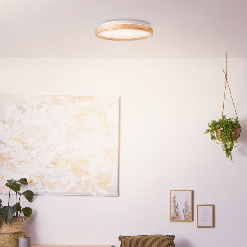 Brilliant - LED Plafonjera ALSON LED/26W/230V 3000/4500K pr. 39,5 cm fikus elastika