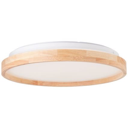 Brilliant - LED Plafonjera ALSON LED/26W/230V 3000/4500K pr. 39,5 cm fikus elastika