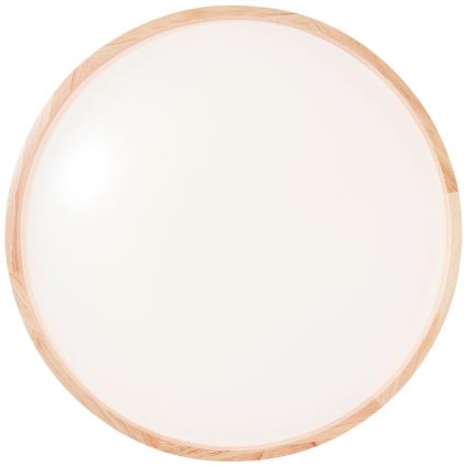 Brilliant - LED Plafonjera ALSON LED/26W/230V 3000/4500K pr. 39,5 cm fikus elastika