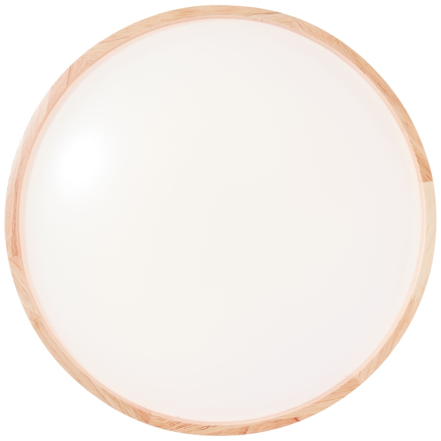 Brilliant - LED Plafonjera ALSON LED/26W/230V 3000/4500K pr. 39,5 cm fikus elastika