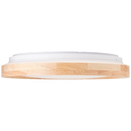 Brilliant - LED Plafonjera ALSON LED/26W/230V 3000/4500K pr. 39,5 cm fikus elastika