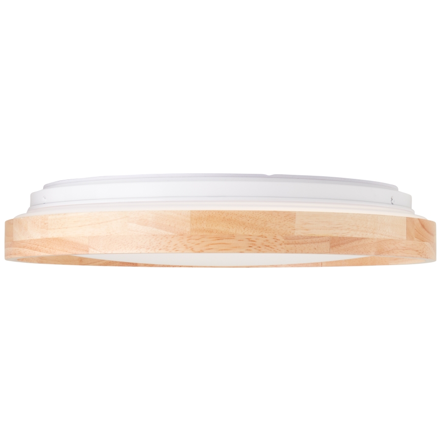 Brilliant - LED Plafonjera ALSON LED/26W/230V 3000/4500K pr. 39,5 cm fikus elastika