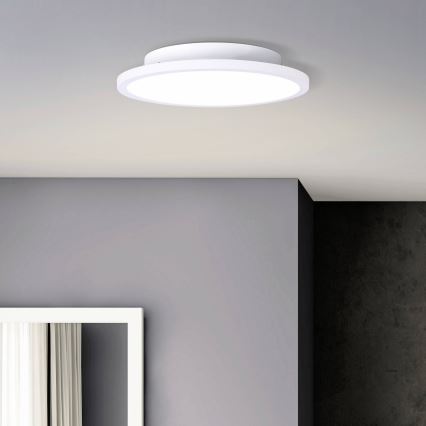 Brilliant - LED Plafonjera BUFFI LED/13W/230V pr. 25 cm 2700K