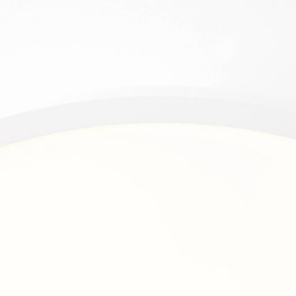 Brilliant - LED Plafonjera BUFFI LED/13W/230V pr. 25 cm 2700K