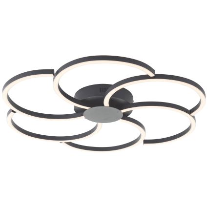 Brilliant - LED Prigušiva plafonjera FICO LED/32W/230V 3000-6500K pr. 65 cm crno + Daljinski upravljač