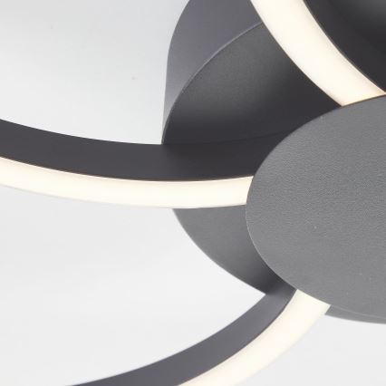 Brilliant - LED Prigušiva plafonjera FICO LED/32W/230V 3000-6500K pr. 65 cm crno + Daljinski upravljač