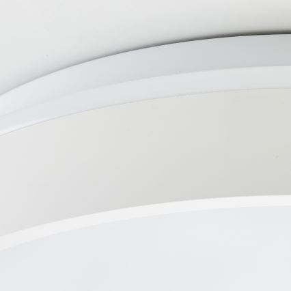 Brilliant - LED Plafonjera KALMAR LED/26W/230V 3000K pr. 39 cm bela