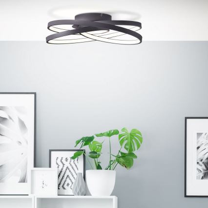 Brilliant - LED Plafonjera LABYRINTH LED/40W/230V pr. 39,5 cm crno