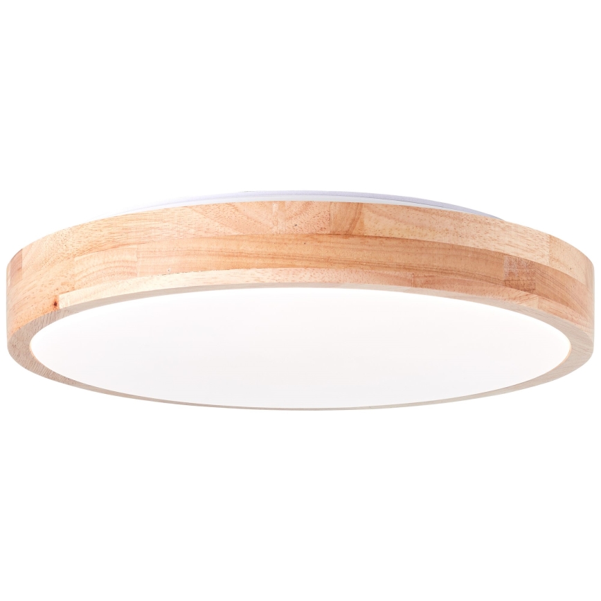 Brilliant - LED Plafonjera SLIMLINE LED/14W/230V 3000/4000K fikus elastika
