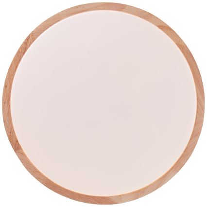 Brilliant - LED Plafonjera SLIMLINE LED/14W/230V 3000/4000K fikus elastika
