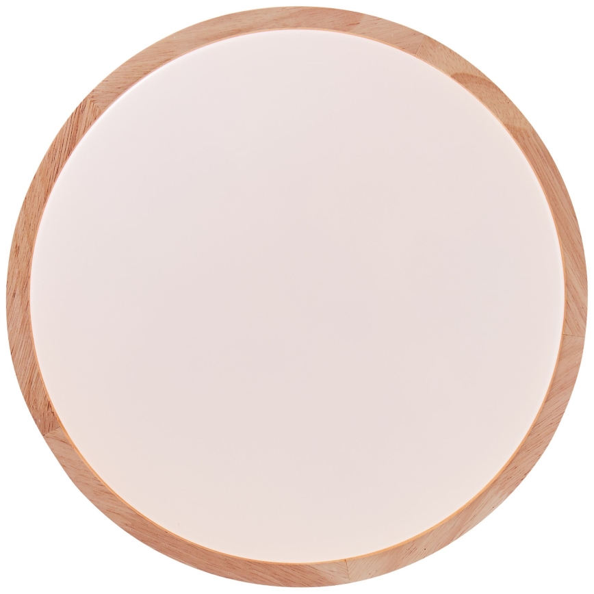 Brilliant - LED Plafonjera SLIMLINE LED/14W/230V 3000/4000K fikus elastika