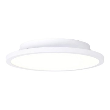 Brilliant - LED plafonsko svetlo BUFFI LED/13W/230V prečnik 25 cm 2700K