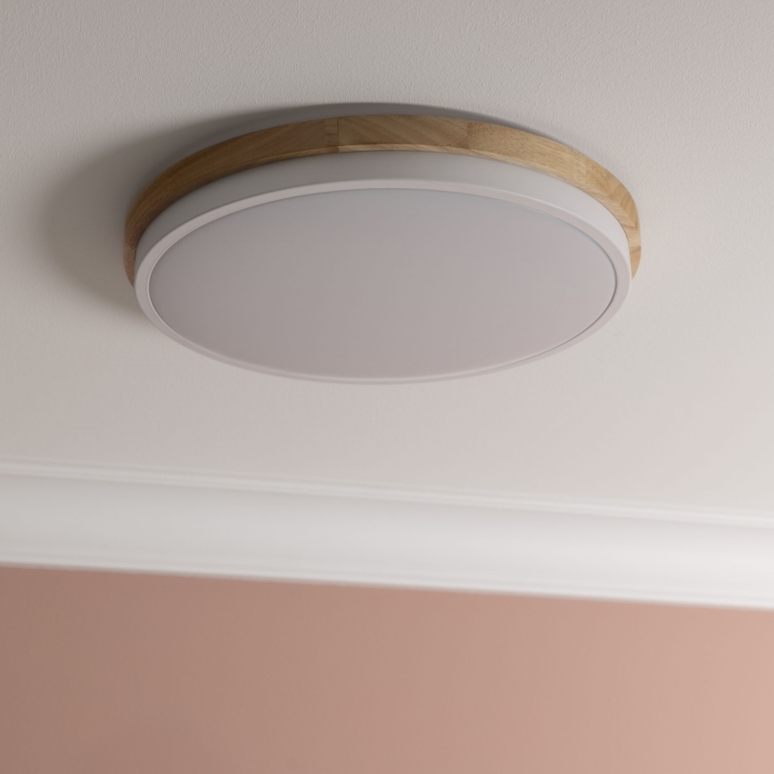 Brilliant - LED Prigušiva plafonjera BAARLO LED/24W/230V pr. 35 cm bela/fikus elastika - FSC sertifikovano