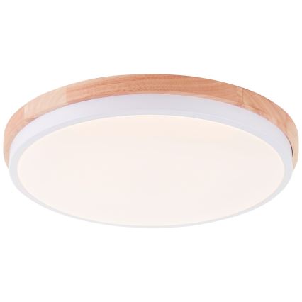 Brilliant - LED Prigušiva plafonjera BAARLO LED/24W/230V pr. 35 cm bela/fikus elastika - FSC sertifikovano