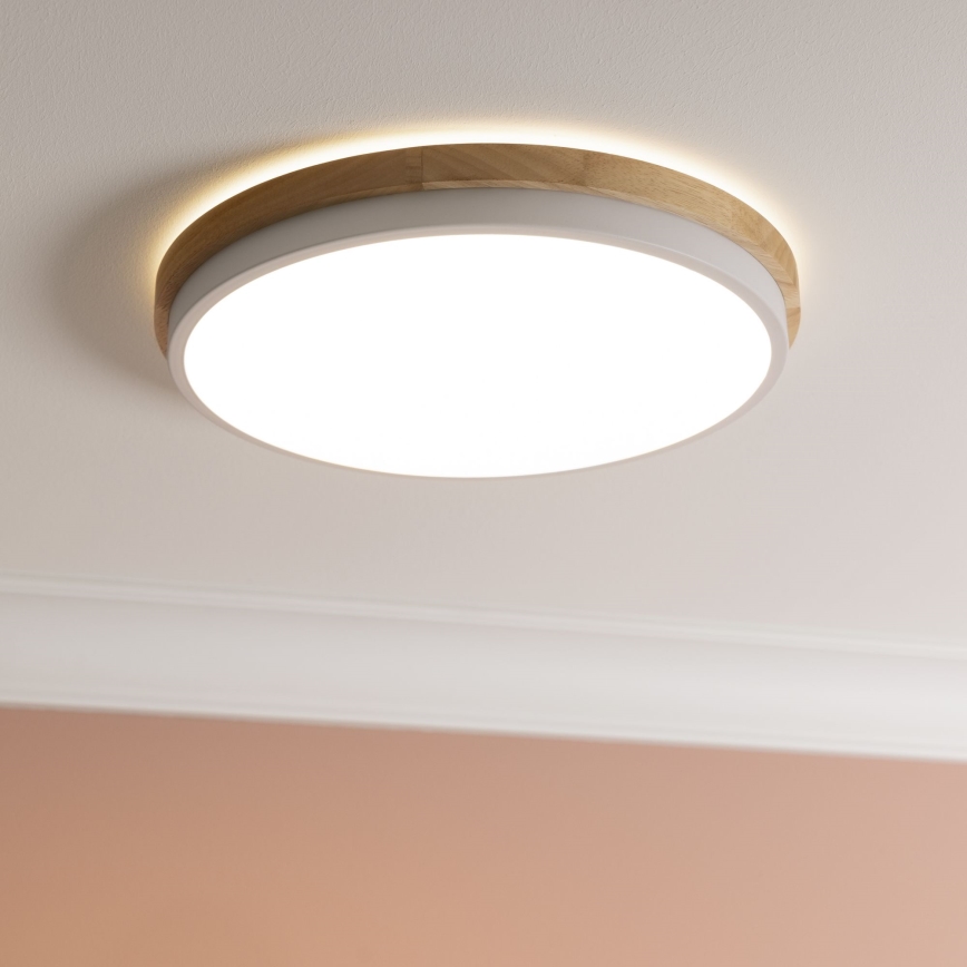 Brilliant - LED Prigušiva plafonjera BAARLO LED/24W/230V pr. 35 cm bela/fikus elastika