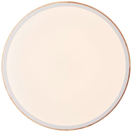 Brilliant - LED Prigušiva plafonjera BAARLO LED/24W/230V pr. 35 cm bela/fikus elastika