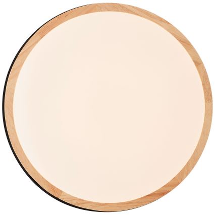 Brilliant - LED Prigušiva plafonjera BAARLO LED/24W/230V pr. 35 cm crno/fikus elastika - FSC sertifikovano