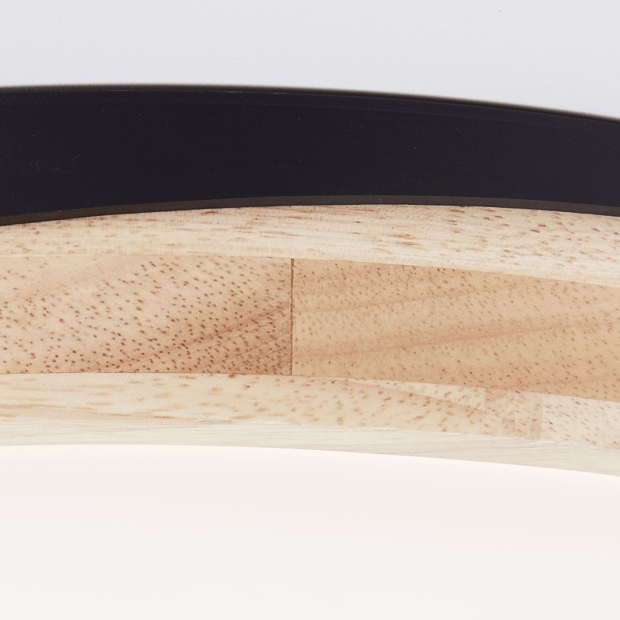 Brilliant - LED Prigušiva plafonjera BAARLO LED/24W/230V pr. 35 cm crno/fikus elastika