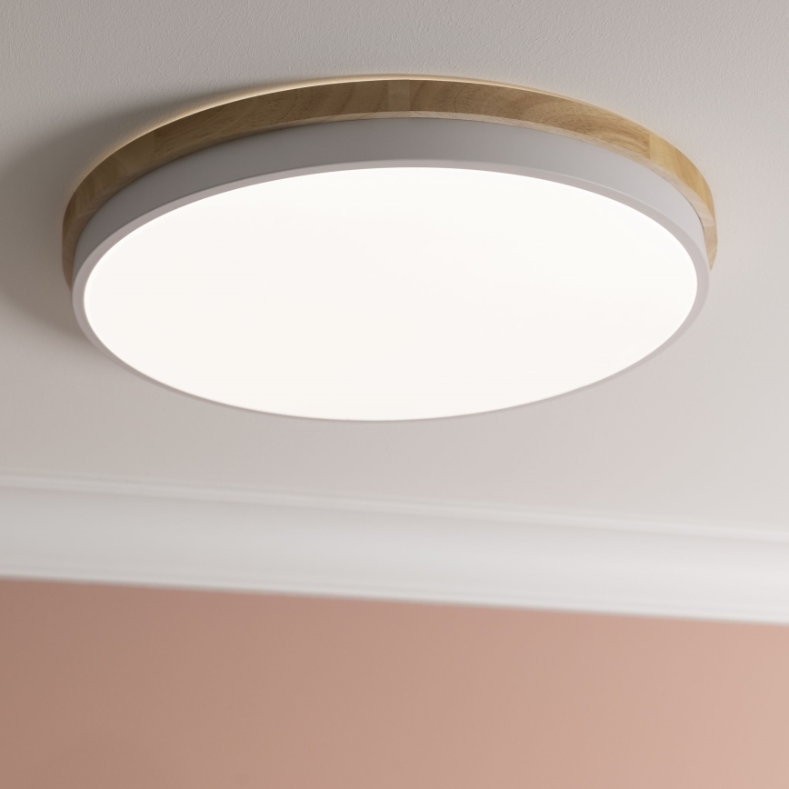 Brilliant - LED Prigušiva plafonjera BAARLO LED/36W/230V 3000-6500K pr. 50 cm bela/fikus elastika + Daljinski upravljač - FSC sertifikovano
