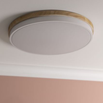 Brilliant - LED Prigušiva plafonjera BAARLO LED/36W/230V 3000-6500K pr. 50 cm bela/fikus elastika + Daljinski upravljač - FSC sertifikovano