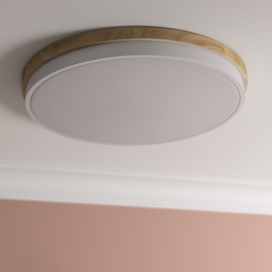 Brilliant - LED Prigušiva plafonjera BAARLO LED/36W/230V 3000-6500K pr. 50 cm bela/fikus elastika + Daljinski upravljač - FSC sertifikovano