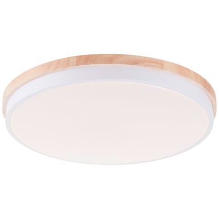 Brilliant - LED Prigušiva plafonjera BAARLO LED/36W/230V 3000-6500K pr. 50 cm bela/fikus elastika + Daljinski upravljač - FSC sertifikovano