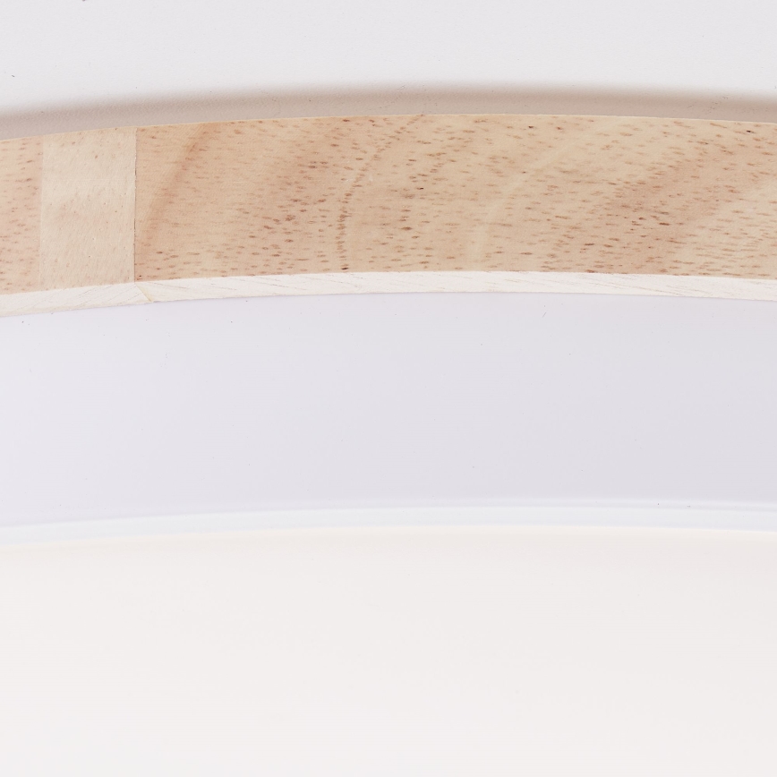 Brilliant - LED Prigušiva plafonjera BAARLO LED/36W/230V 3000-6500K pr. 50 cm bela/fikus elastika + Daljinski upravljač - FSC sertifikovano