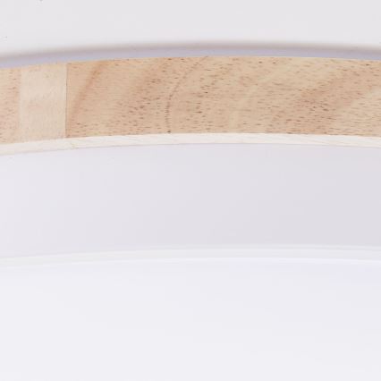 Brilliant - LED Prigušiva plafonjera BAARLO LED/36W/230V 3000-6500K pr. 50 cm bela/fikus elastika + Daljinski upravljač - FSC sertifikovano