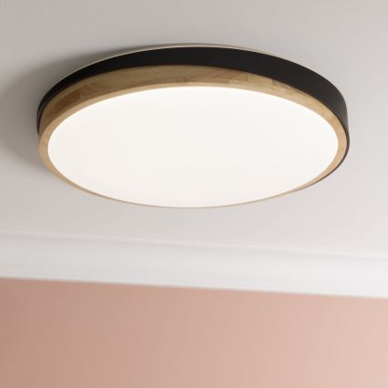 Brilliant - LED Prigušiva plafonjera BAARLO LED/36W/230V 3000-6500K pr. 50 cm crno/fikus elastika + Daljinski upravljač - FSC sertifikovano