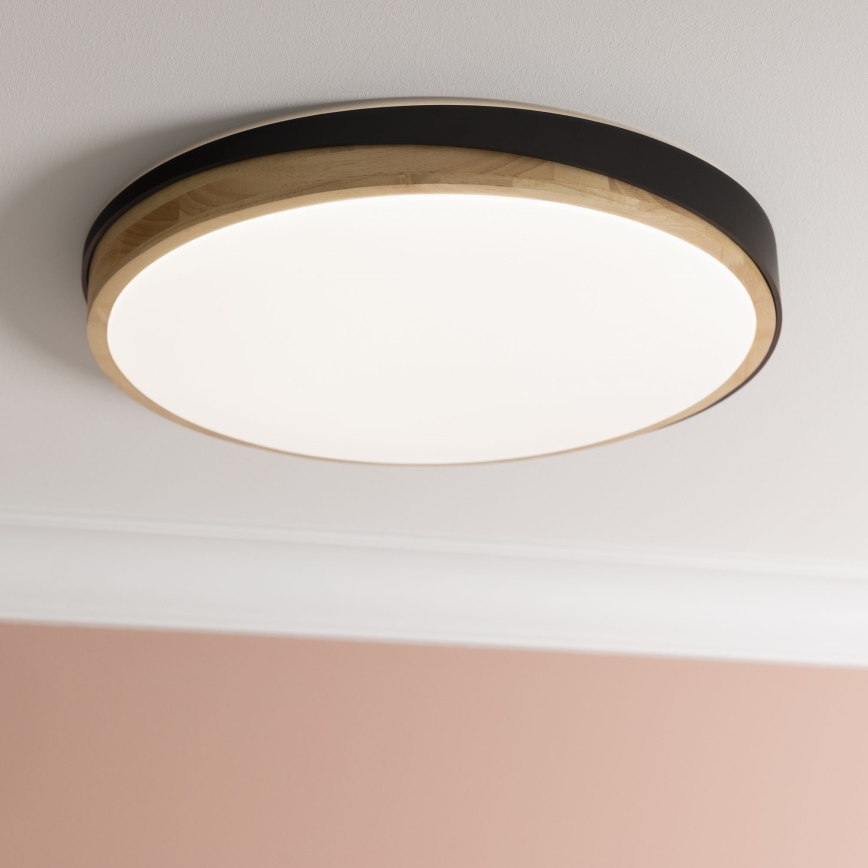 Brilliant - LED Prigušiva plafonjera BAARLO LED/36W/230V 3000-6500K pr. 50 cm crno/fikus elastika + Daljinski upravljač - FSC sertifikovano
